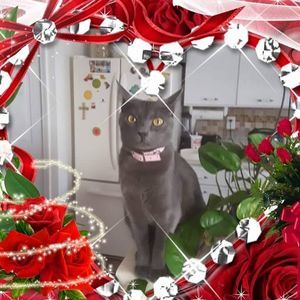 Meet your Posher, Teresa